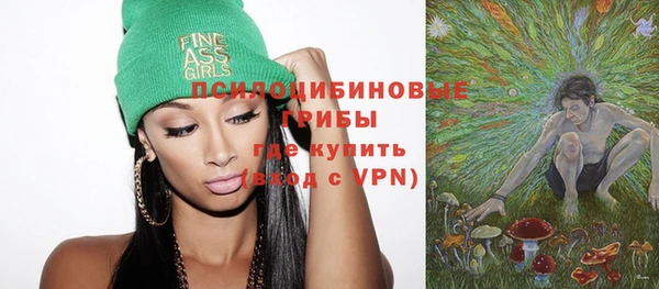 скорость Ладушкин