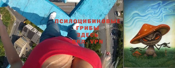 скорость Ладушкин